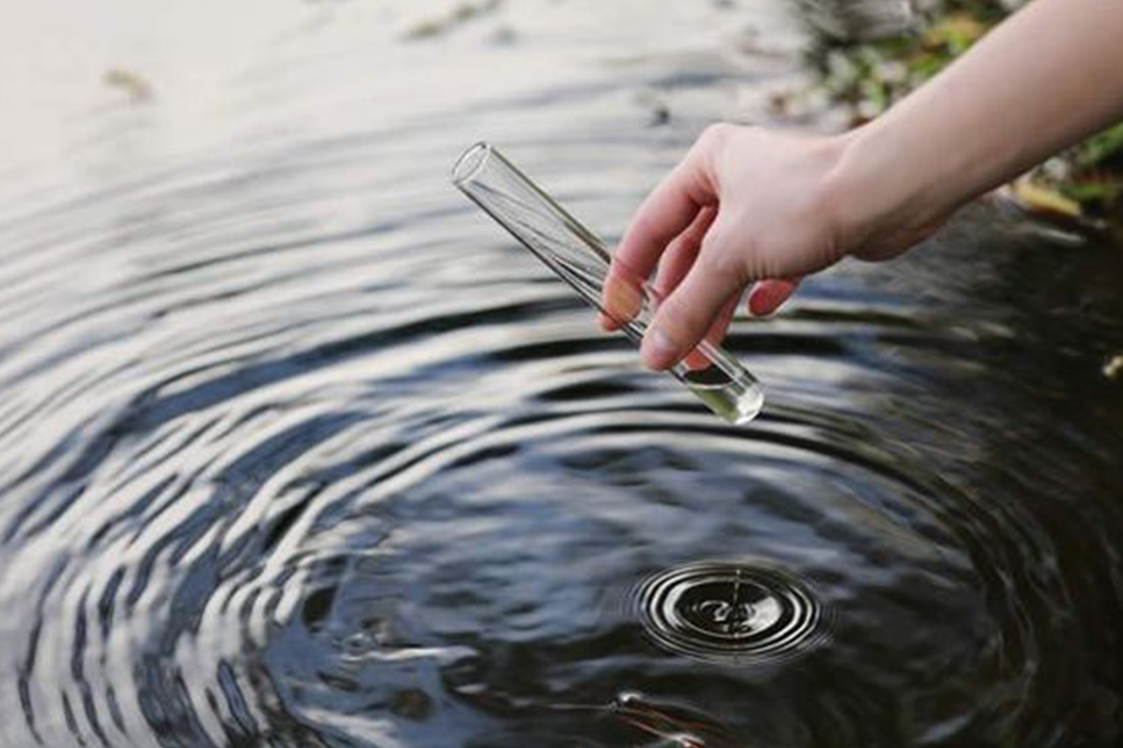 Pond health products