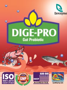 Dige-Pro Product
