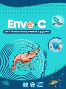 Envo C Product