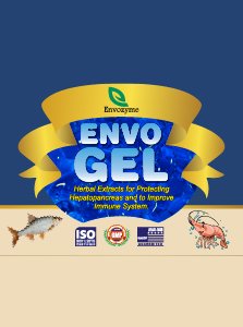 Envo Gel Product