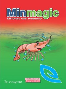 Min Magic Product
