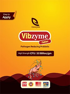 Vibzyme tablet